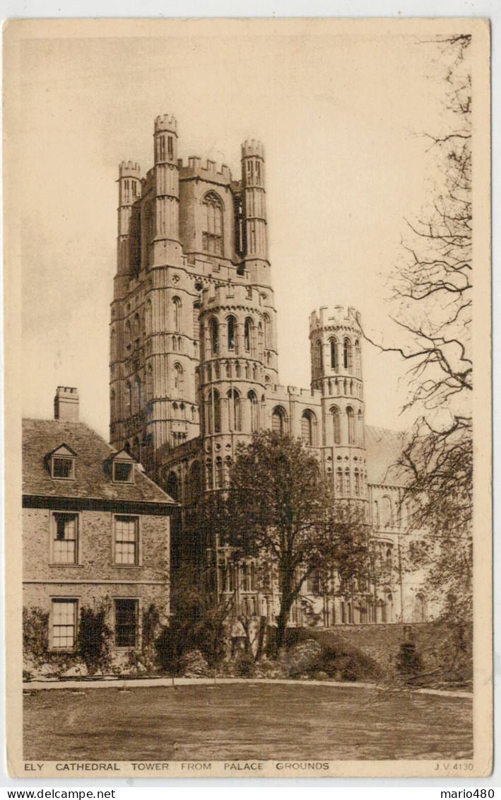 C.P.  PICCOLA   ELY    CATHEDRAL    TOWER  FROM  PALACE  GROUNDS          2 SCAN  (NUOVA) - Ely