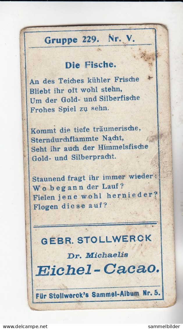 Stollwerck Album No 5 Sternbilder  Die Fische Grp 229#5 Von 1902 - Stollwerck