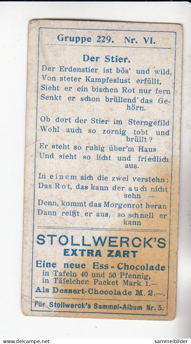 Stollwerck Album No 5 Sternbilder Der Stier  Grp 229#6 Von 1902 - Stollwerck