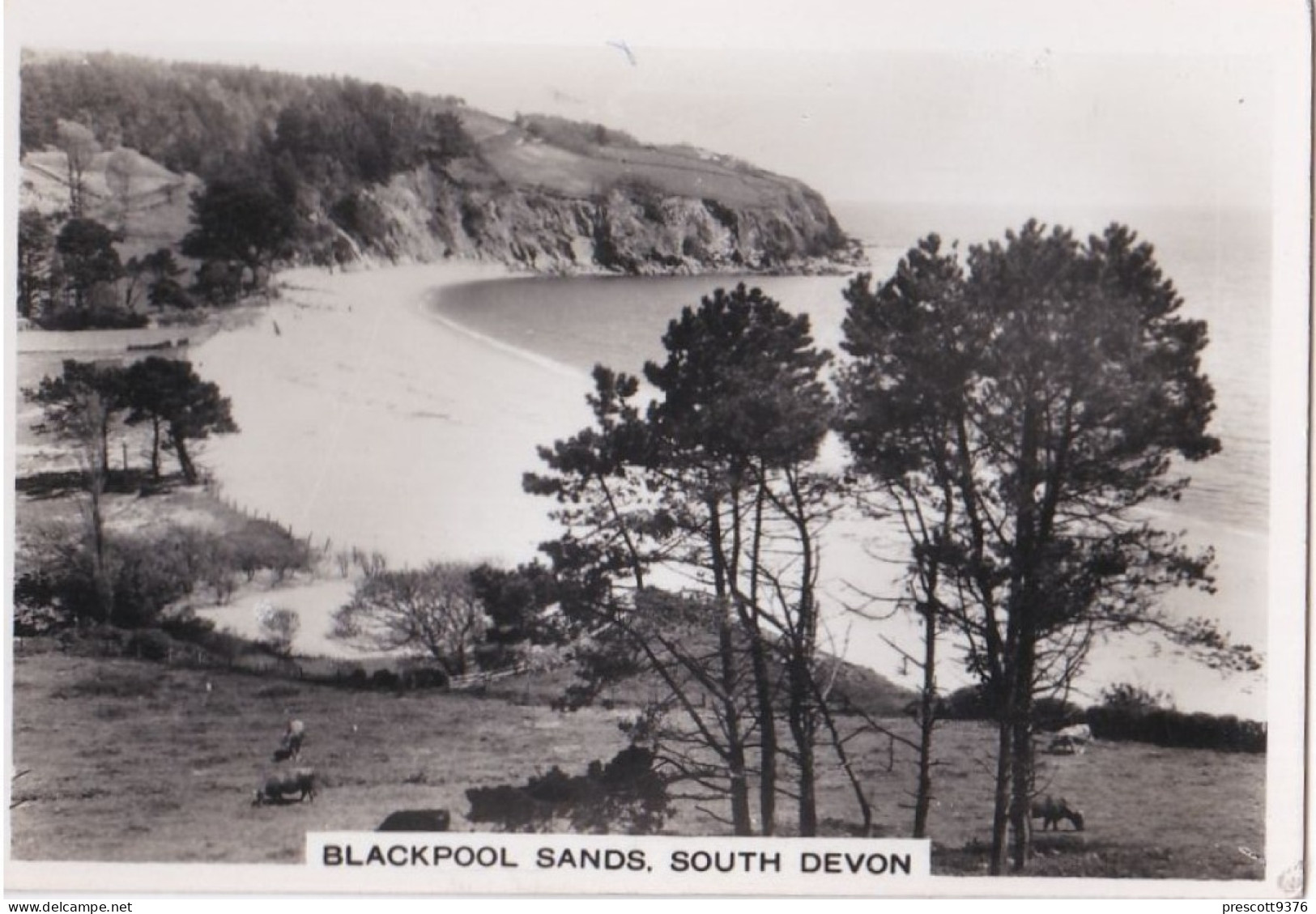 Holiday Haunts By The Sea 1938 - Senior Service Photo Card - M Size - RP - 32 Blackpool Sands, S. Devon - Wills