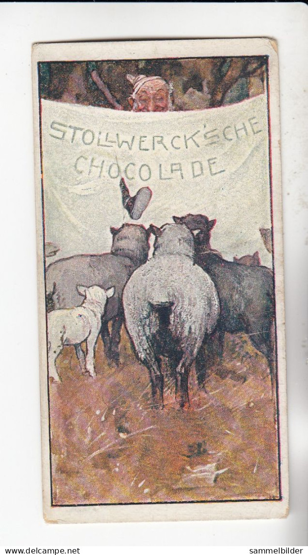 Stollwerck Album No 4 Zwergenkönig Hinzelmann  Hoflieferant     Grp 147#5 Von 1900 - Stollwerck