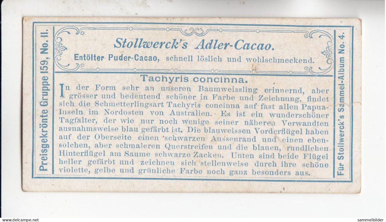 Stollwerck Album No 4 Ausländische Schmetterlinge Tachyris Concinna     Grp 159# 2 Von 1900 - Stollwerck