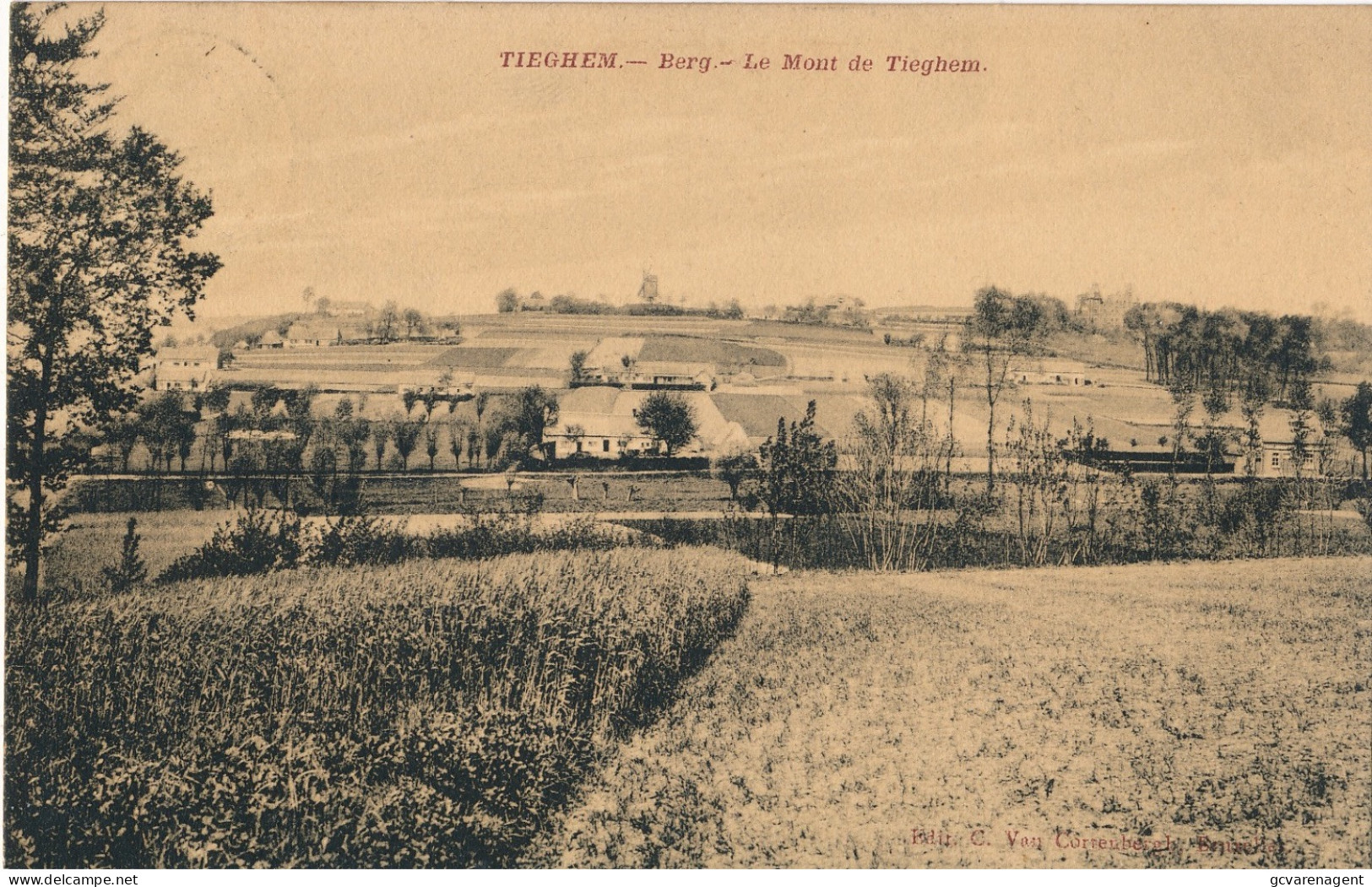 TIEGEM  BERG                2 SCANS - Anzegem