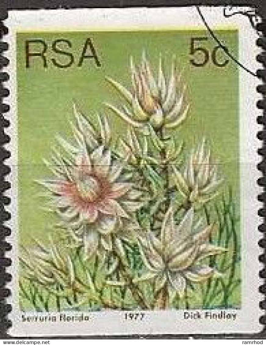 SOUTH AFRICA 1977 Succulents - 5c. - Serruria Florida FU - Used Stamps