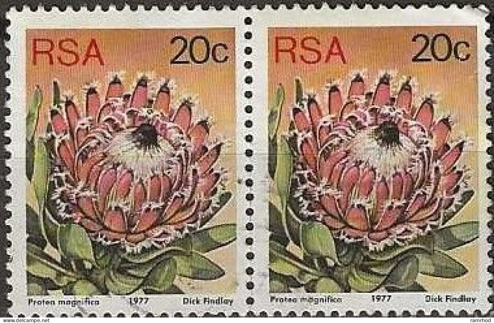 SOUTH AFRICA 1977 Succulents - 20c. - Protea Magnifica FU PAIR - Gebraucht