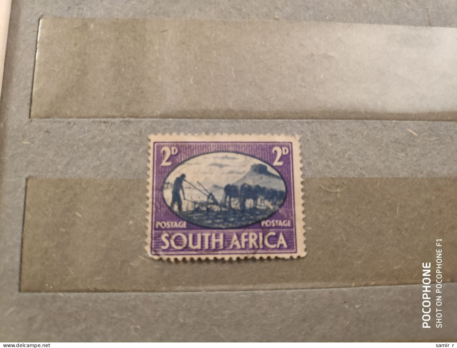 South Africa	Animals (F25) - Usati