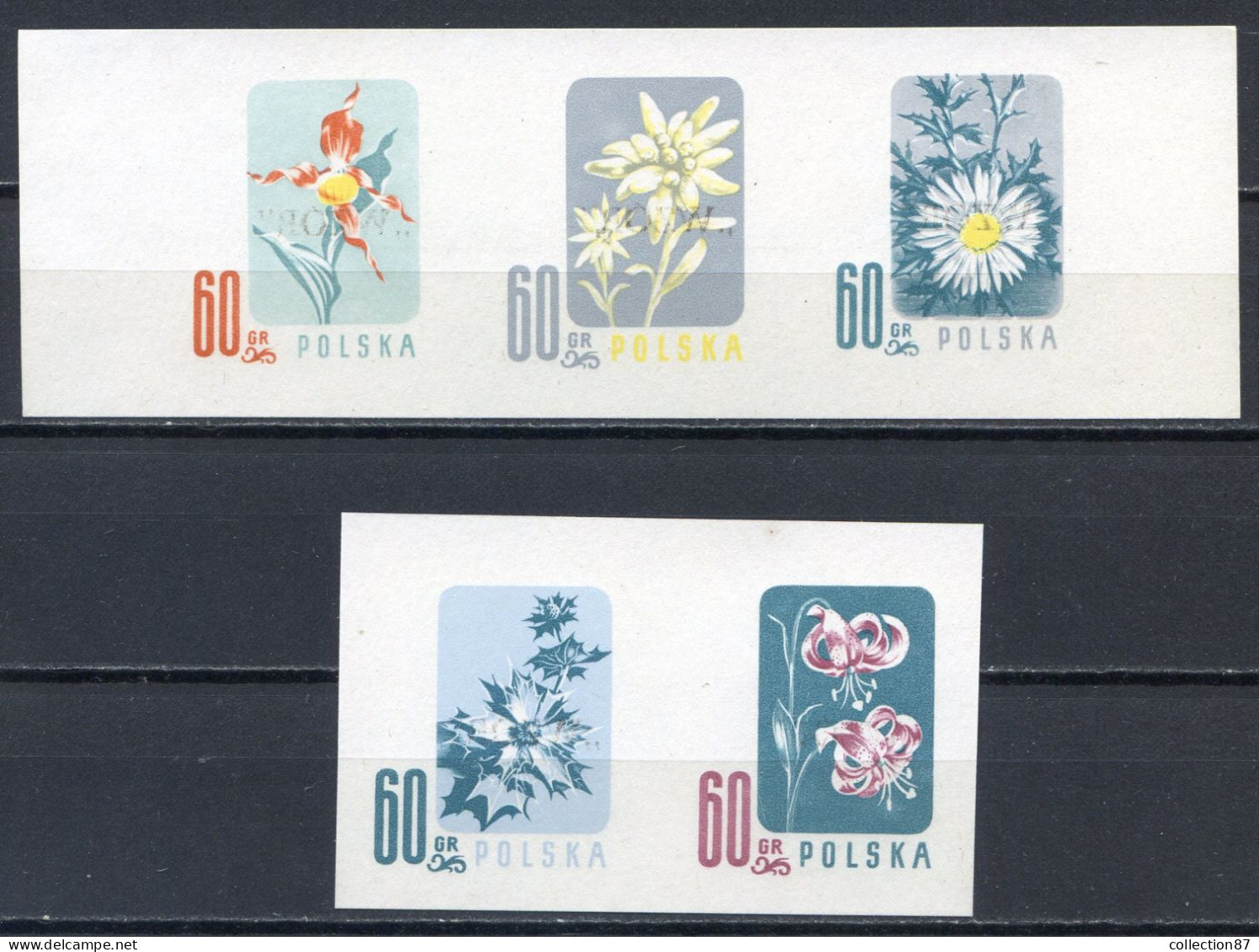 POLOGNE < ESSAI Yvert N° 904 à 908 < Fleur Iris + Chardon + Edelweiss + Lis + Marguerite - Flore - Wzor Spécimen Modèle - Abarten & Kuriositäten