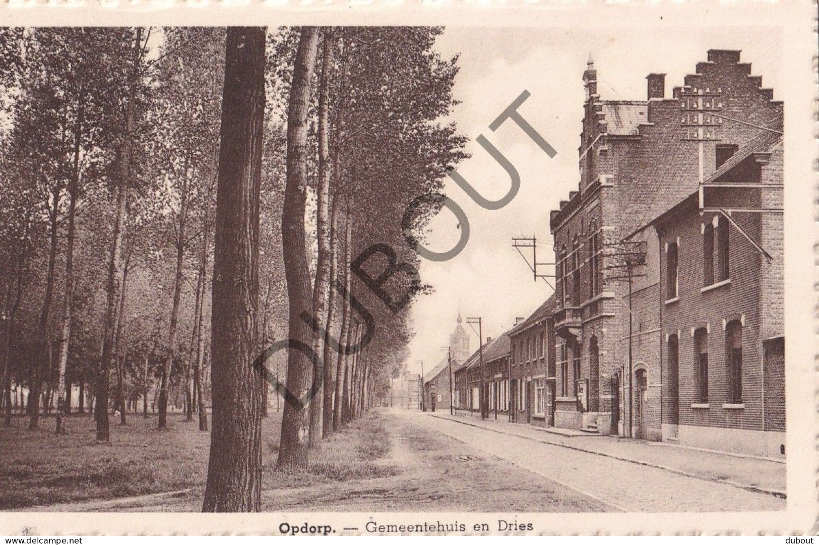 Postkaart/Carte Postale - Opdorp - Gemeentehuis En Dries (C4638) - Buggenhout