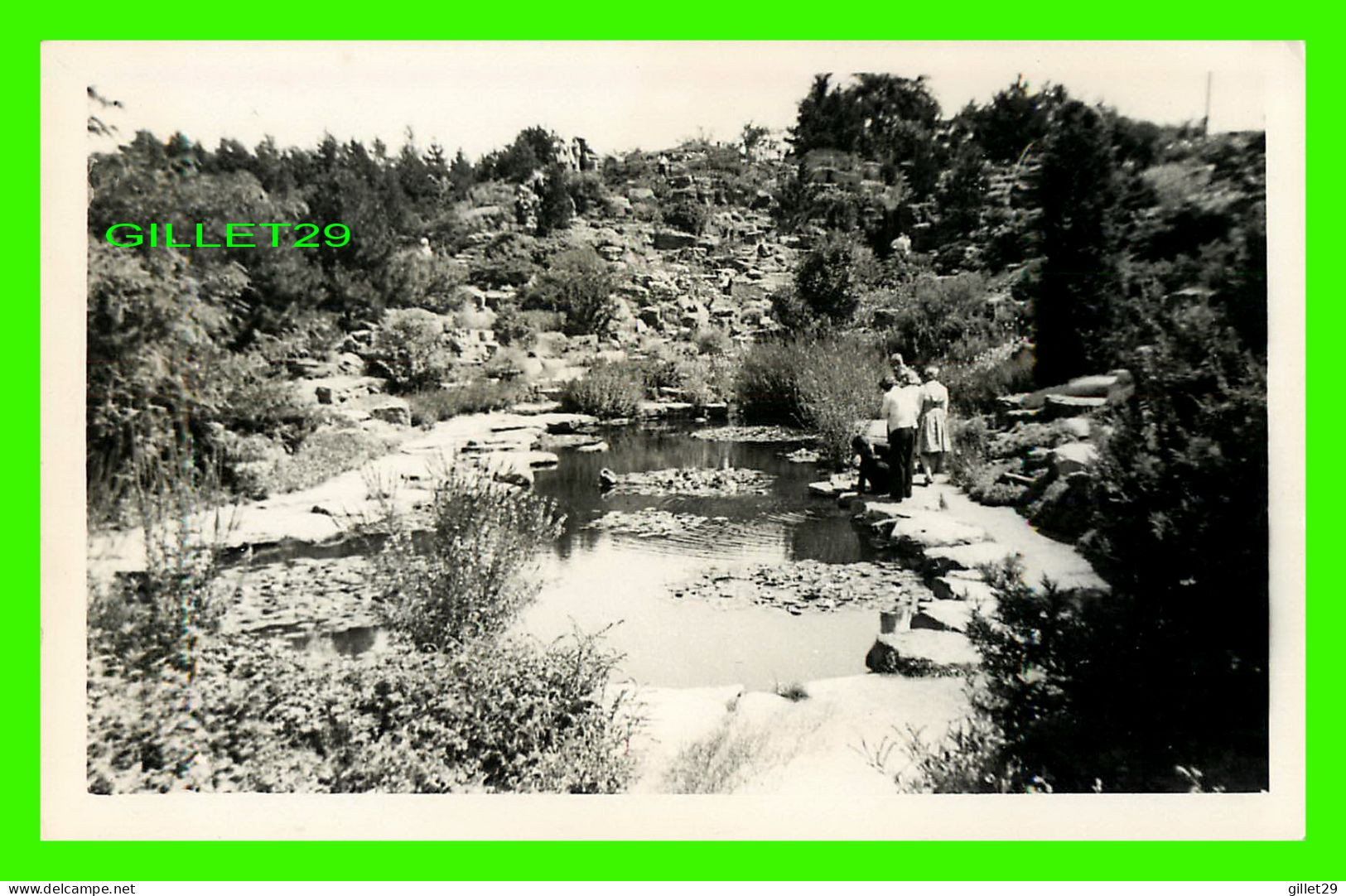 HAMILTON, ONTARIO - L'ÉTANG AVEC DES PERSONNAGES - ROCK GARDEN - CARTE PHOTO - - Hamilton