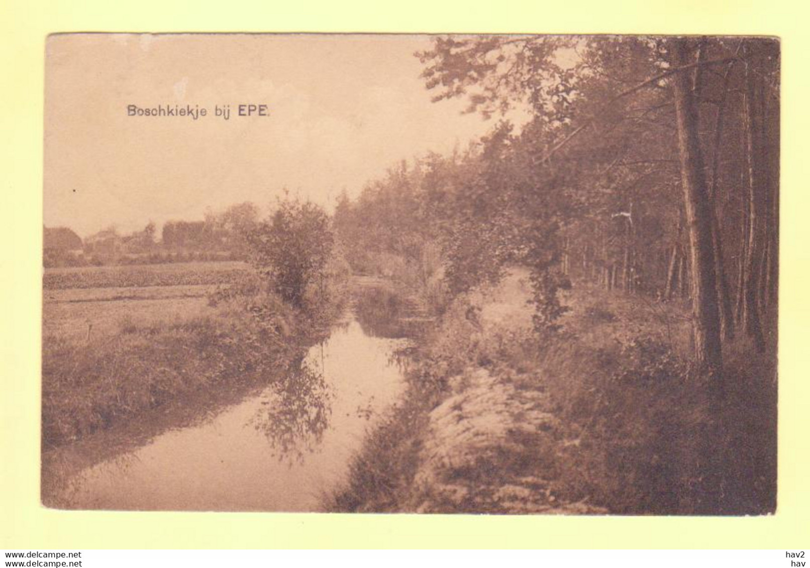 Epe Boschkiekje Ca. 1920 RY17666 - Epe