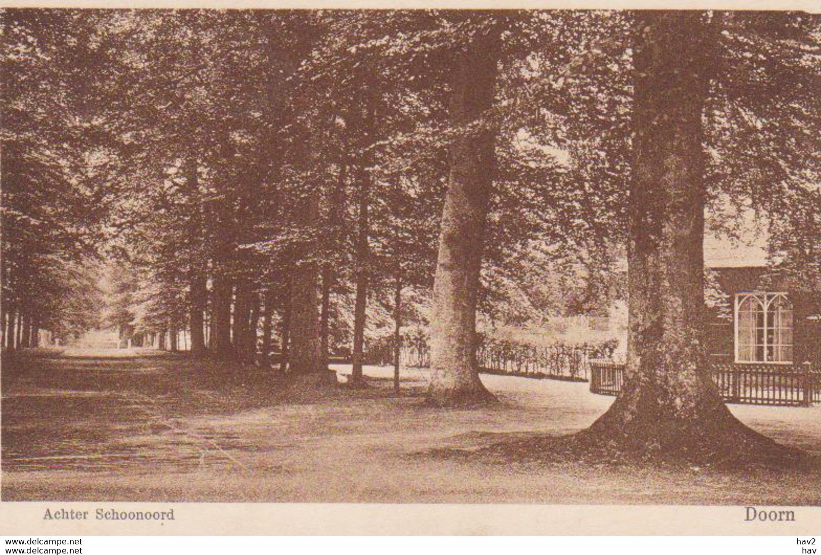 Doorn Achter Schoonoord RY17169 - Doorn