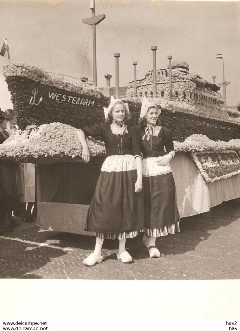 Lisse Persfoto Corso, Ss. Westerdam 1e Prijs KE982 - Lisse