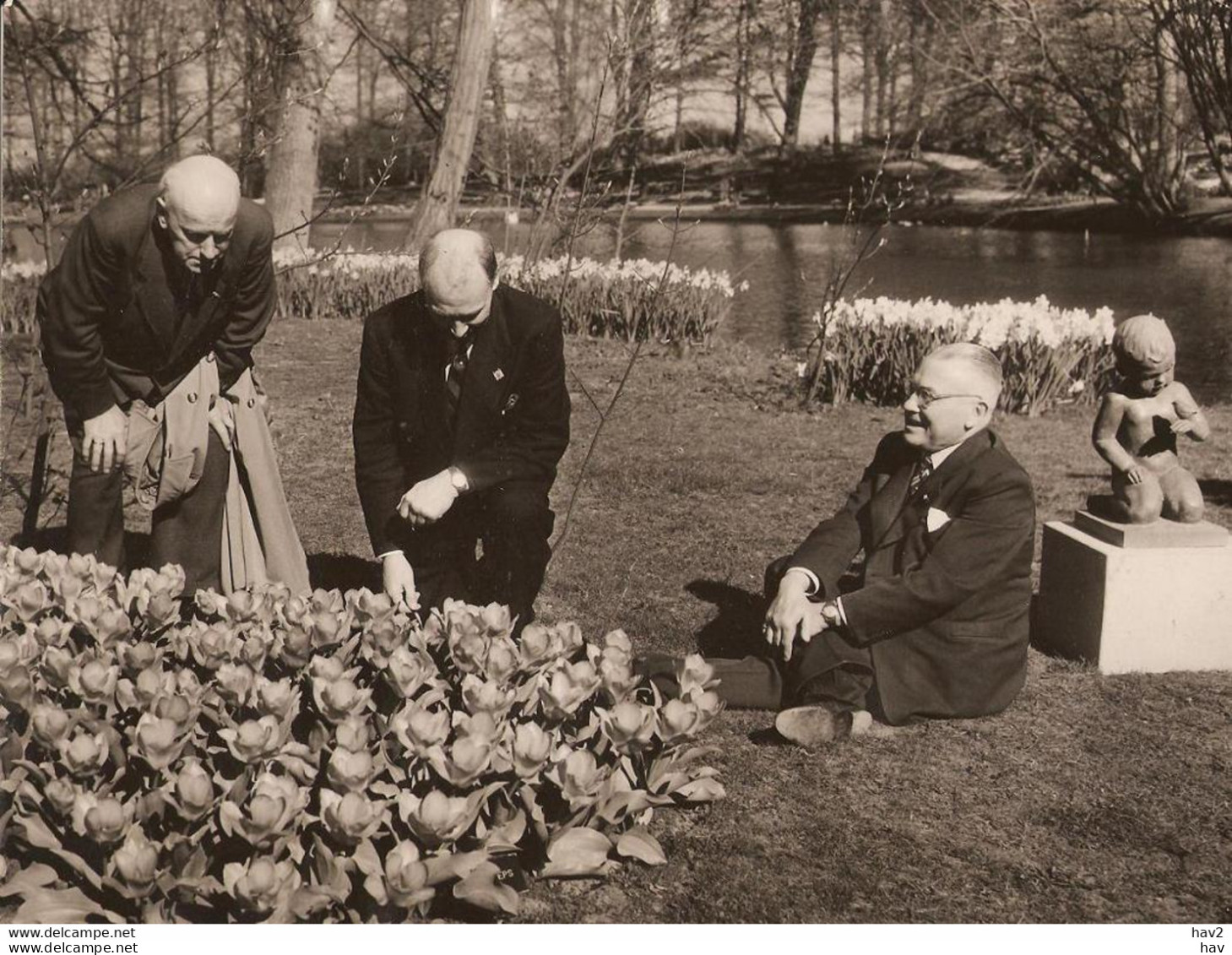 Lisse Persfoto Keukenhof 1953 Bezoek 2e Kamer KE983 - Lisse