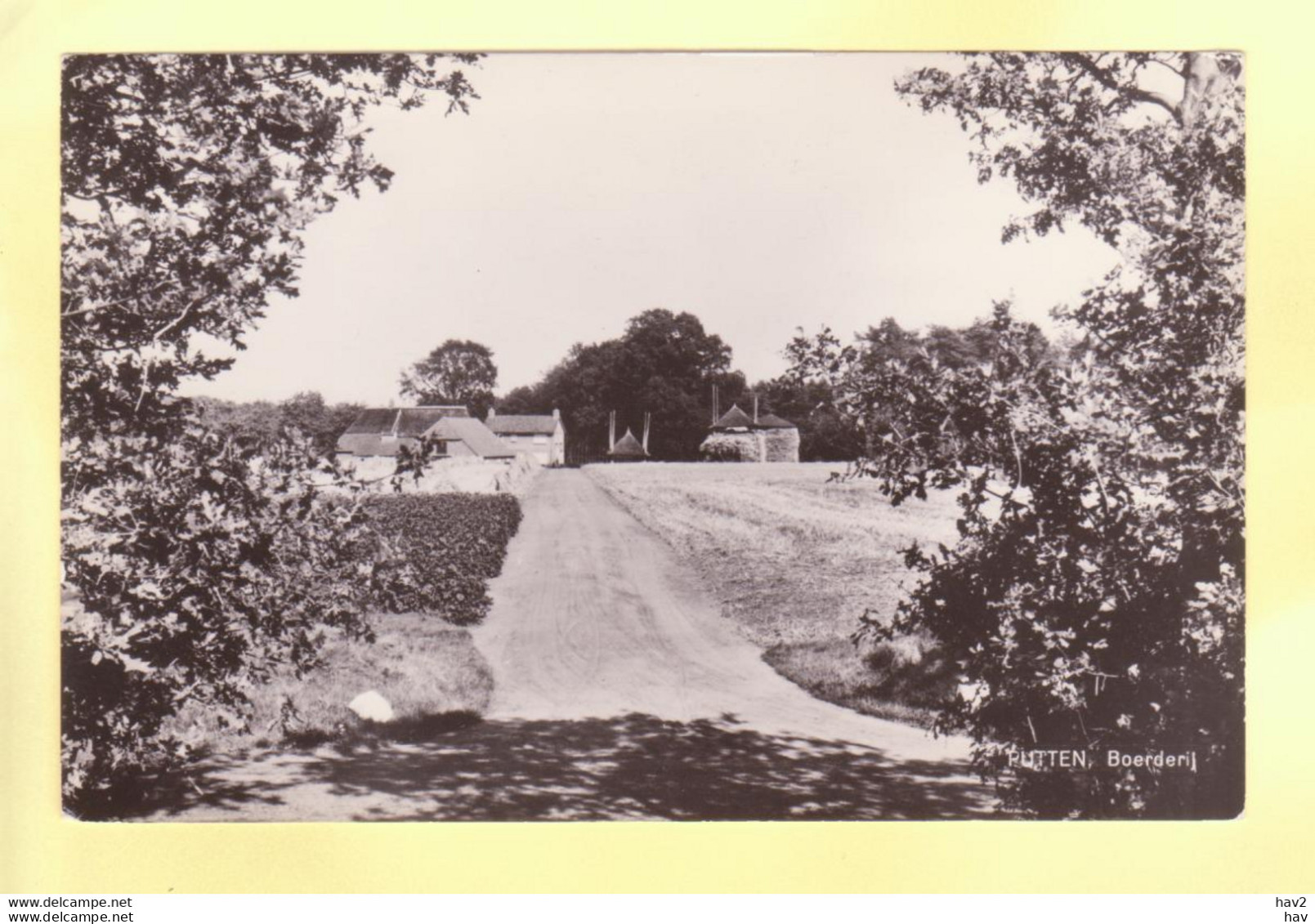 Putten Boerderij  RY19243 - Putten