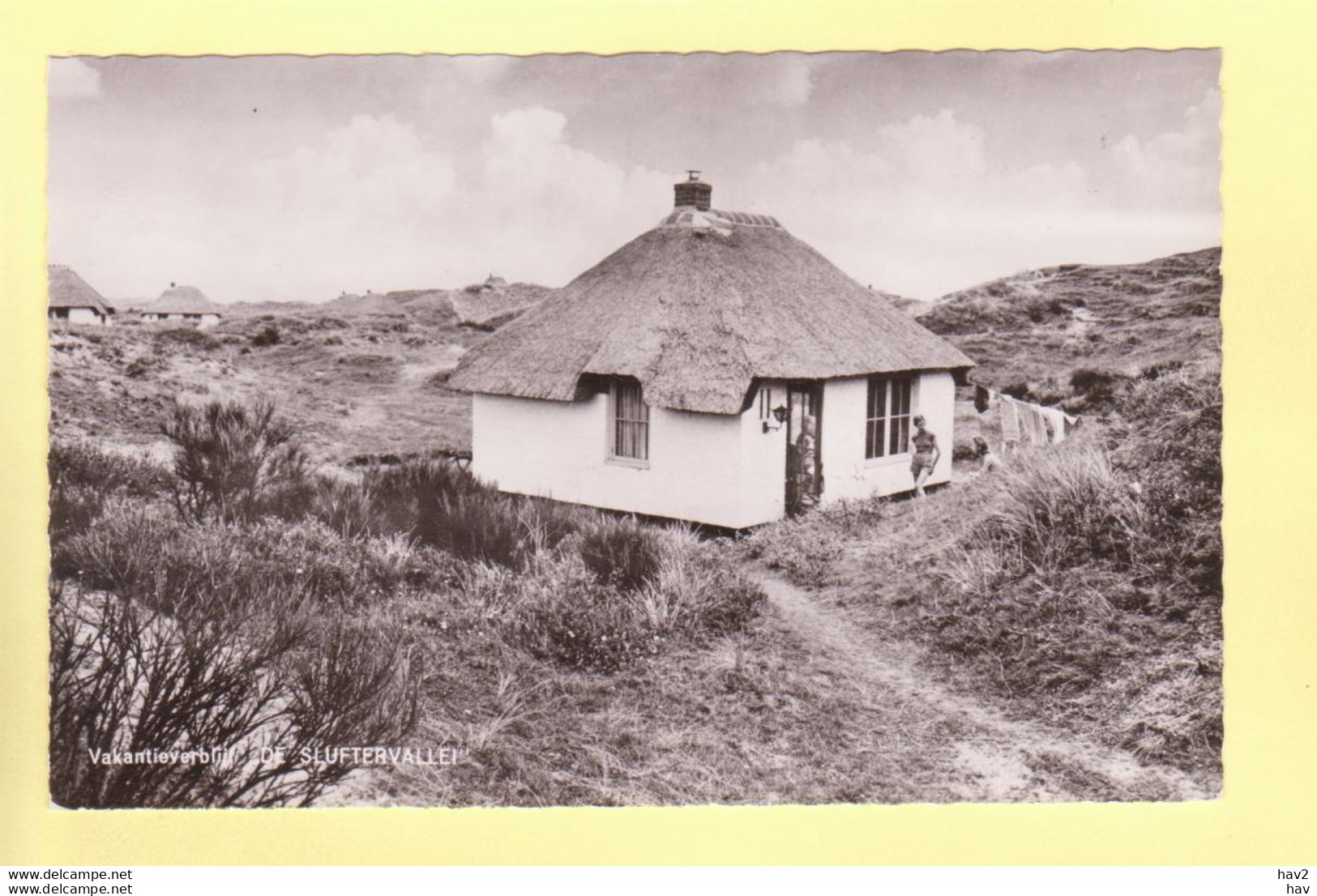 Texel Vakantie Verblijf De Sluftervallei RY19113 - Texel