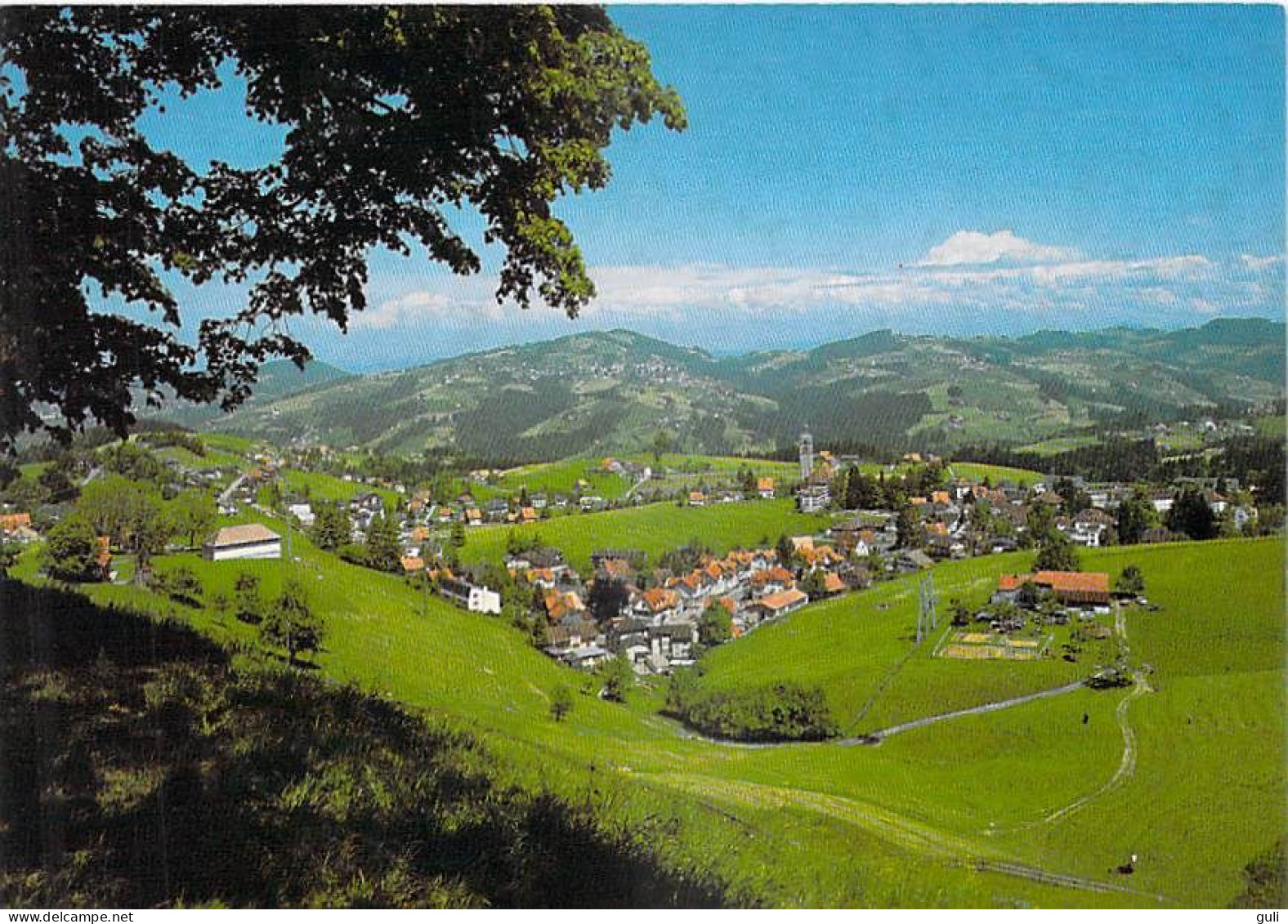 Suisse > AR Appenzell Rhodes-Extérieures  SPEICHER Blick Gegen Rehetobel Und Wald  Foto Gross Nr 40 026 - Speicher