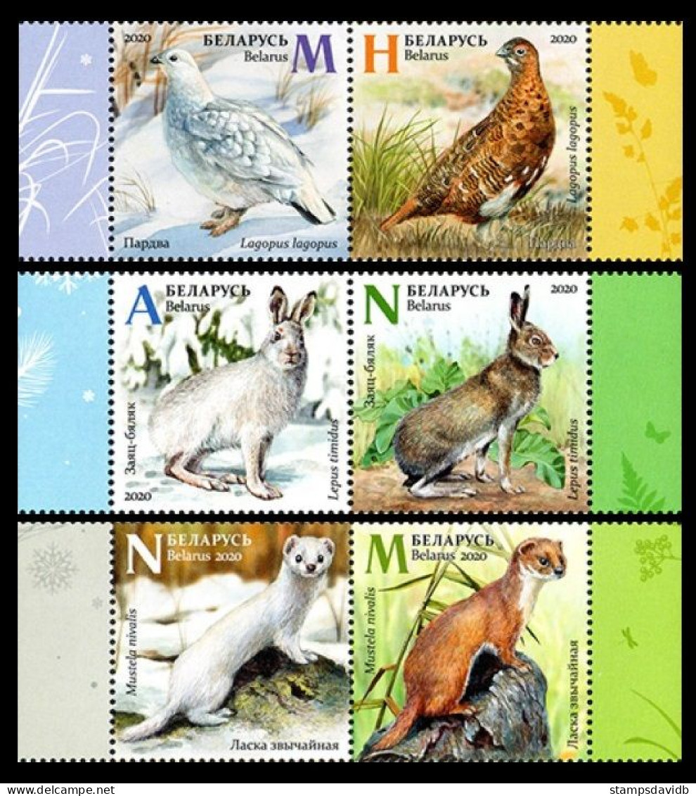 2020 Belarus 1343-1348Paar Fauna 13,50 € - Piciformes (pájaros Carpinteros)