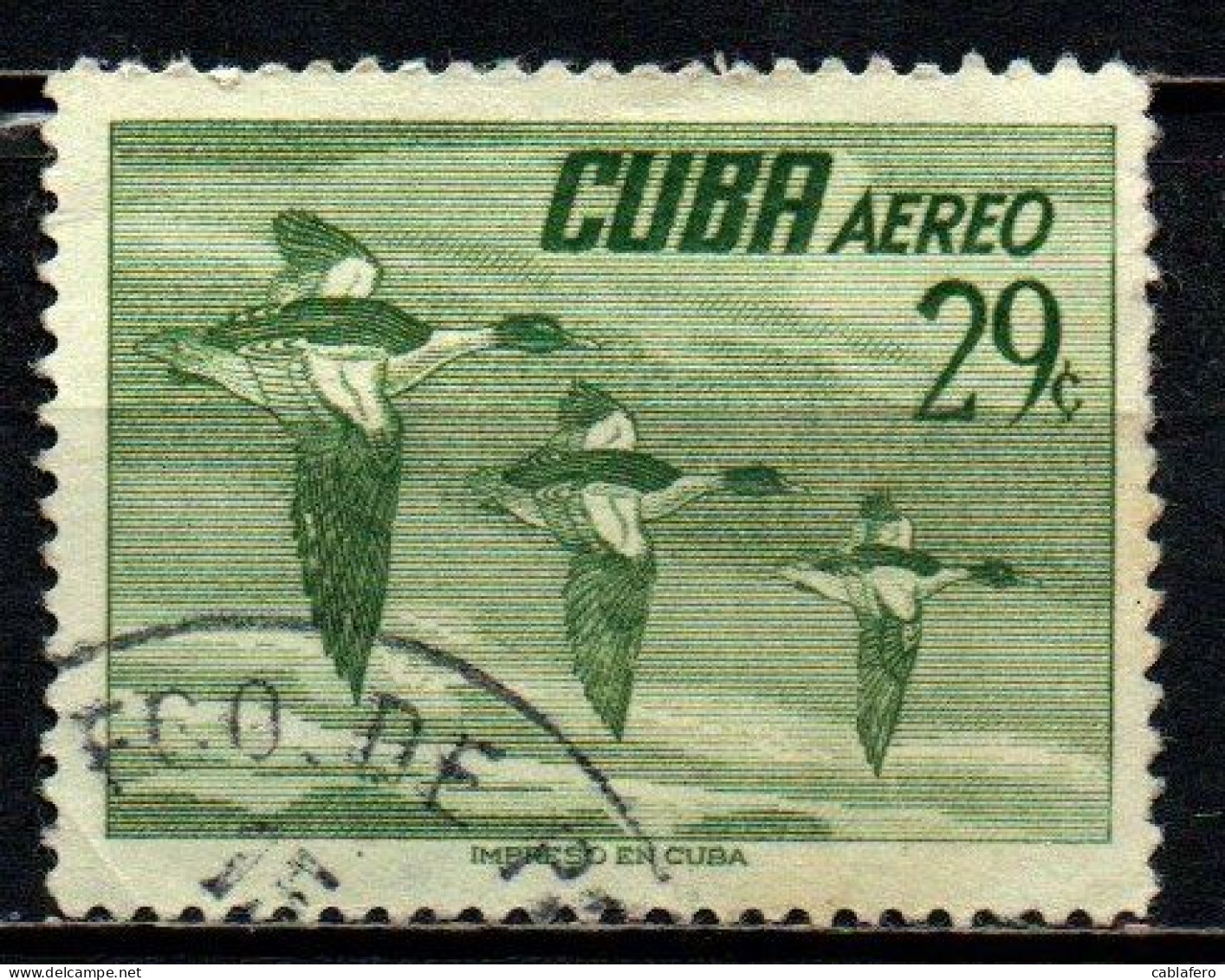 CUBA - 1956 - Common Merganser - USATO - Poste Aérienne