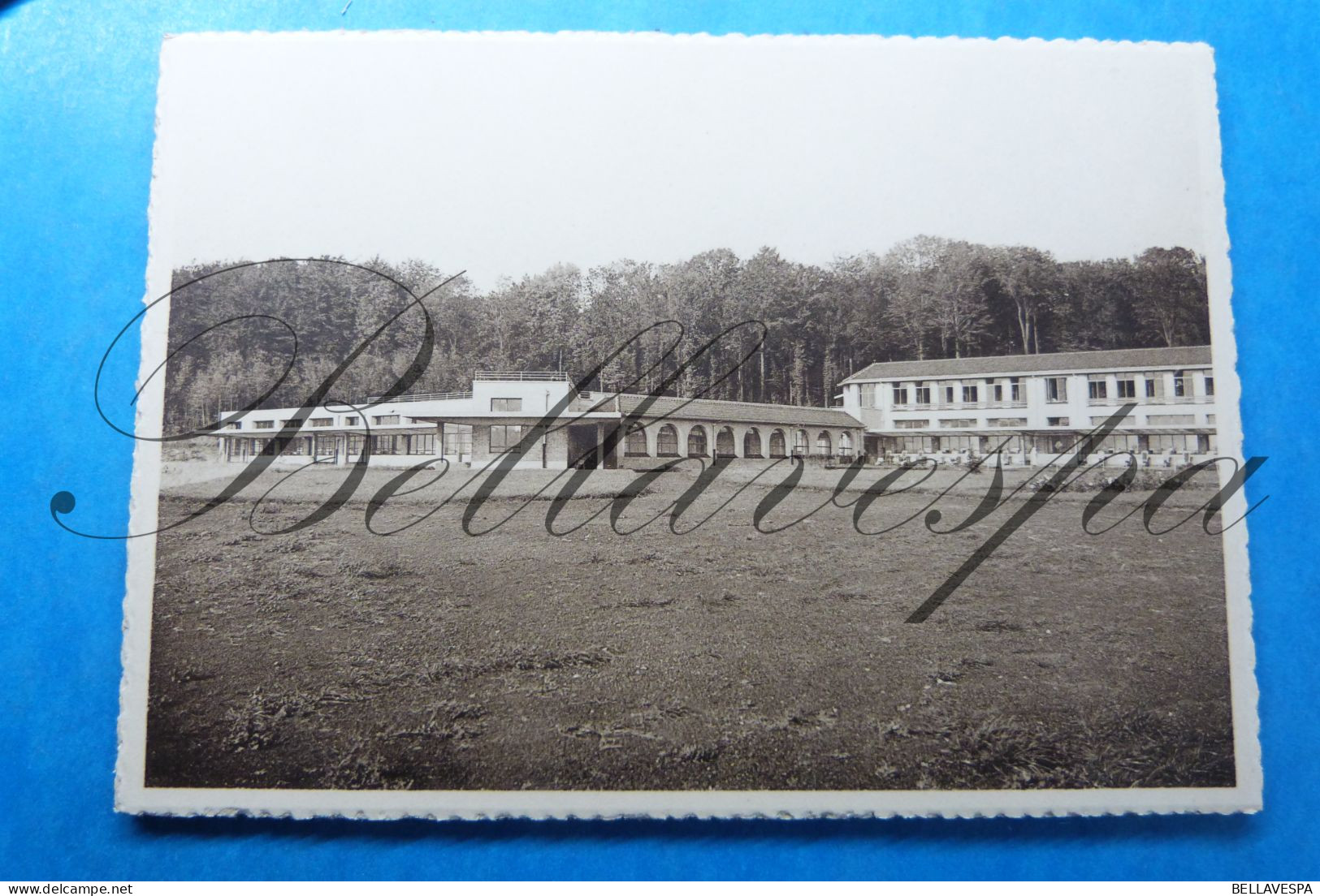 LOT Orp-Jauche Sanatorium  de Hemptinne  (Administration Namur)  24 x cpsm