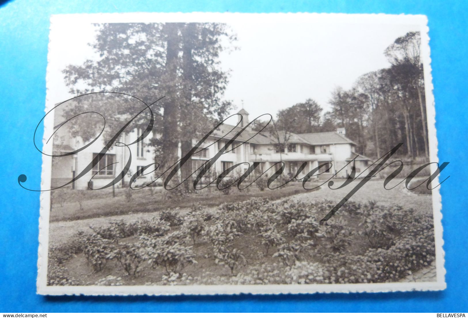 LOT Orp-Jauche Sanatorium  de Hemptinne  (Administration Namur)  24 x cpsm