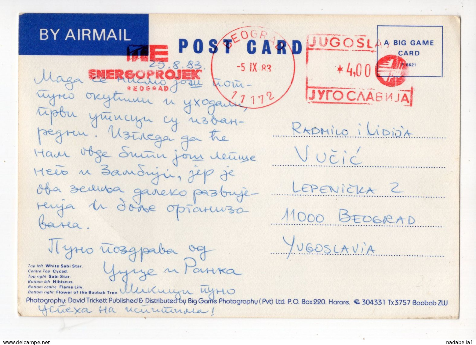 1983. ZIMBABWE,AIRMAIL TO BELGRADE,YUGOSLAVIA,SERBIA,FLOWERS,POSTCARD,USED - Zimbabwe