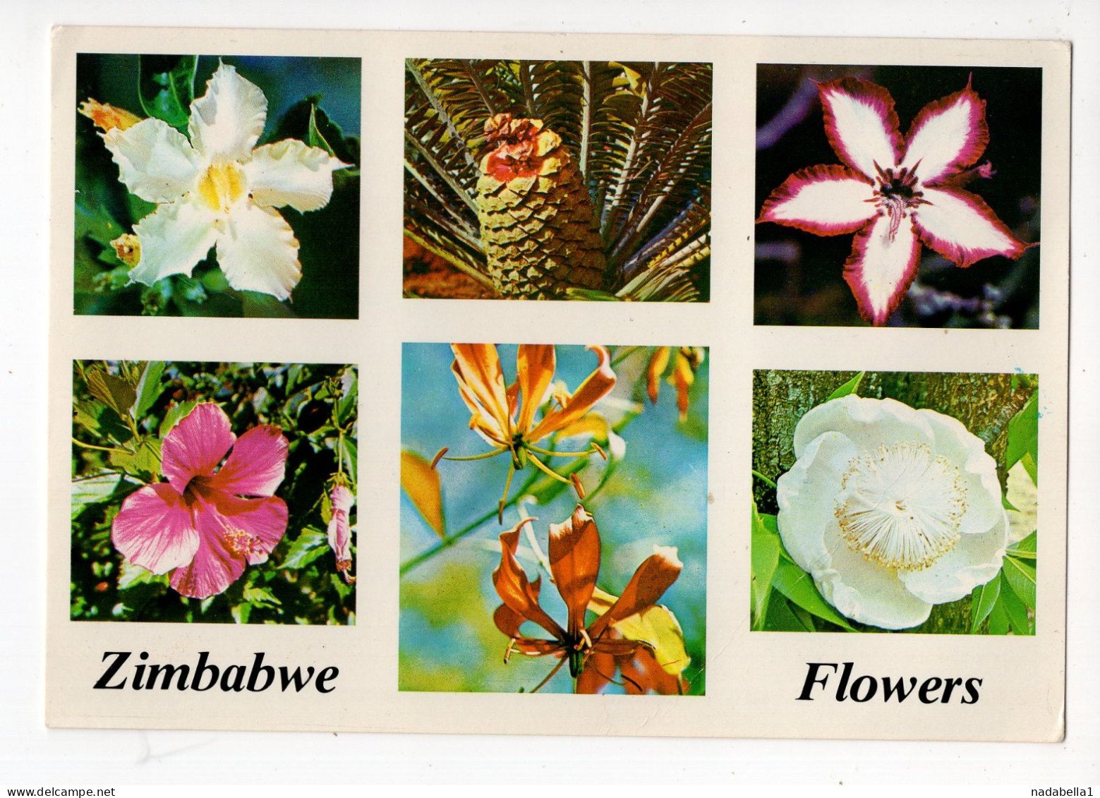 1983. ZIMBABWE,AIRMAIL TO BELGRADE,YUGOSLAVIA,SERBIA,FLOWERS,POSTCARD,USED - Zimbabwe