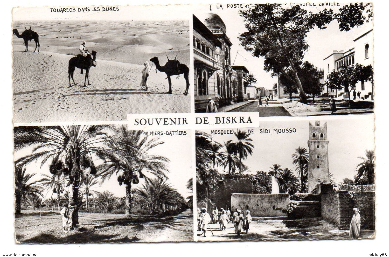 Algérie --BISKRA --Souvenir ---Multivues Animées - Biskra