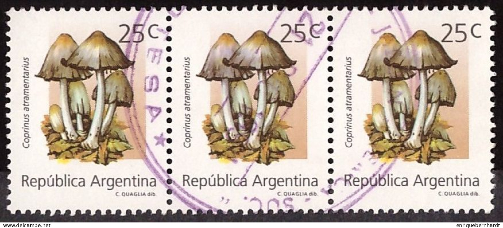 ARGENTINA • SETAS • SELLOS USADOS DE 25 CENTAVOS • EMISIÓN AÑO 1994 - Used Stamps