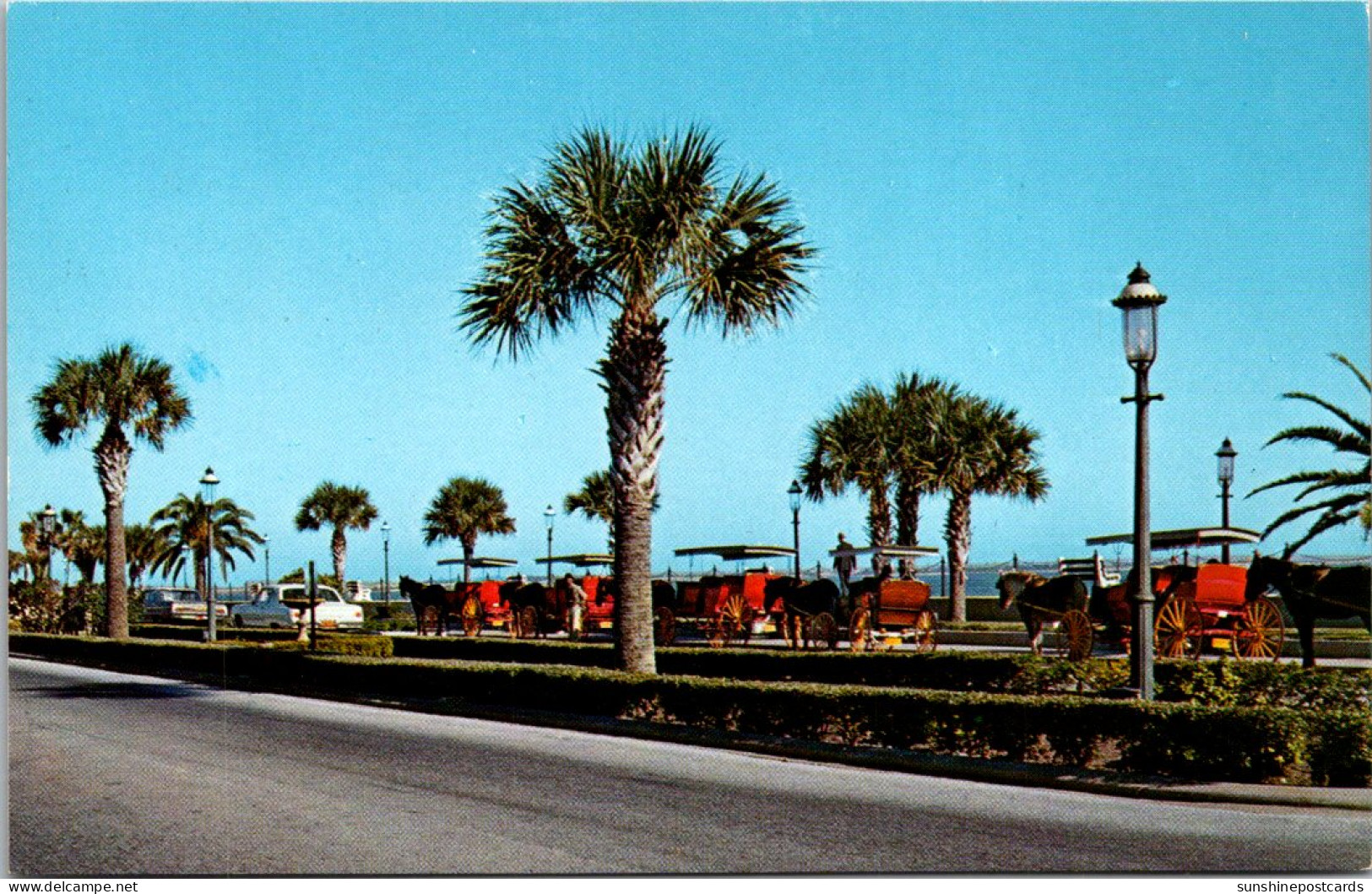Florida St Augustine Sightseeing Carriages Along The Bay Front - St Augustine