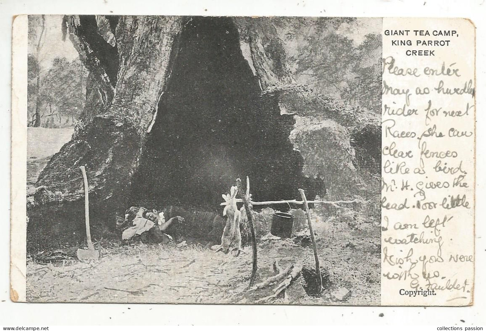 Cp, NOUVELLE ZELANDE, NEW ZEALAND, GIANT TEA CAMP, KING PARROT CREEK, 2 Scans , Voyagée - Nueva Zelanda