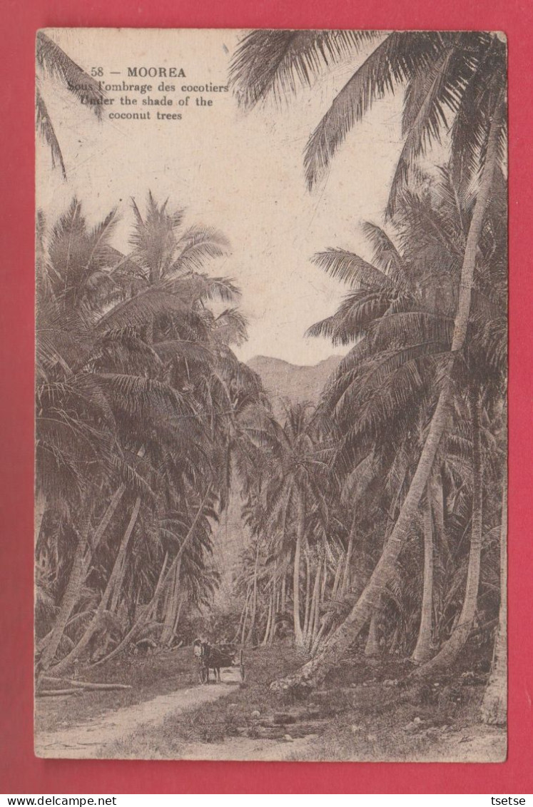 Moorea - Sous L'ombrage Des Cocotiers / Under The Shade Of The Coconnut Trees  ( Voir Verso ) - Polynésie Française