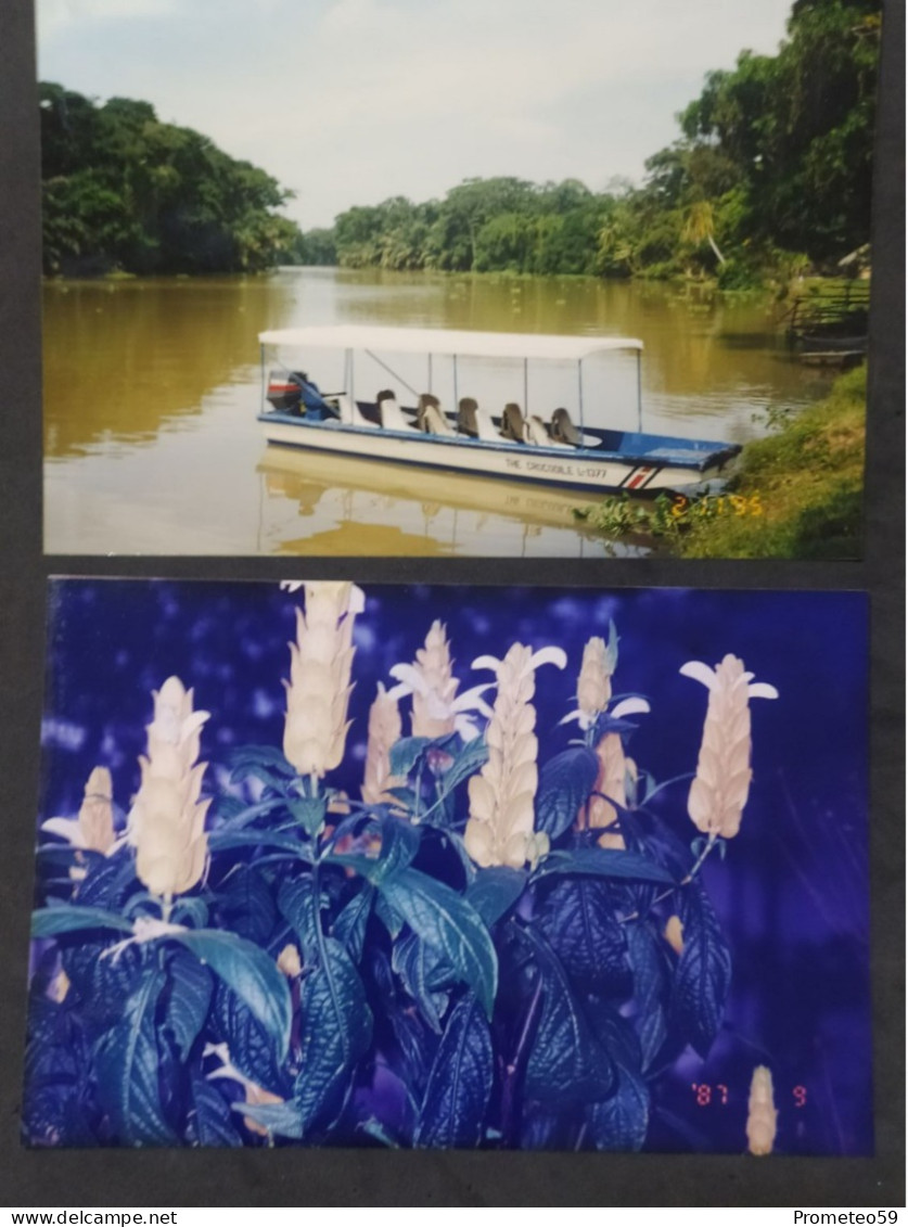 Lote 42 fotos originales de Puerto Limon – Costa Rica