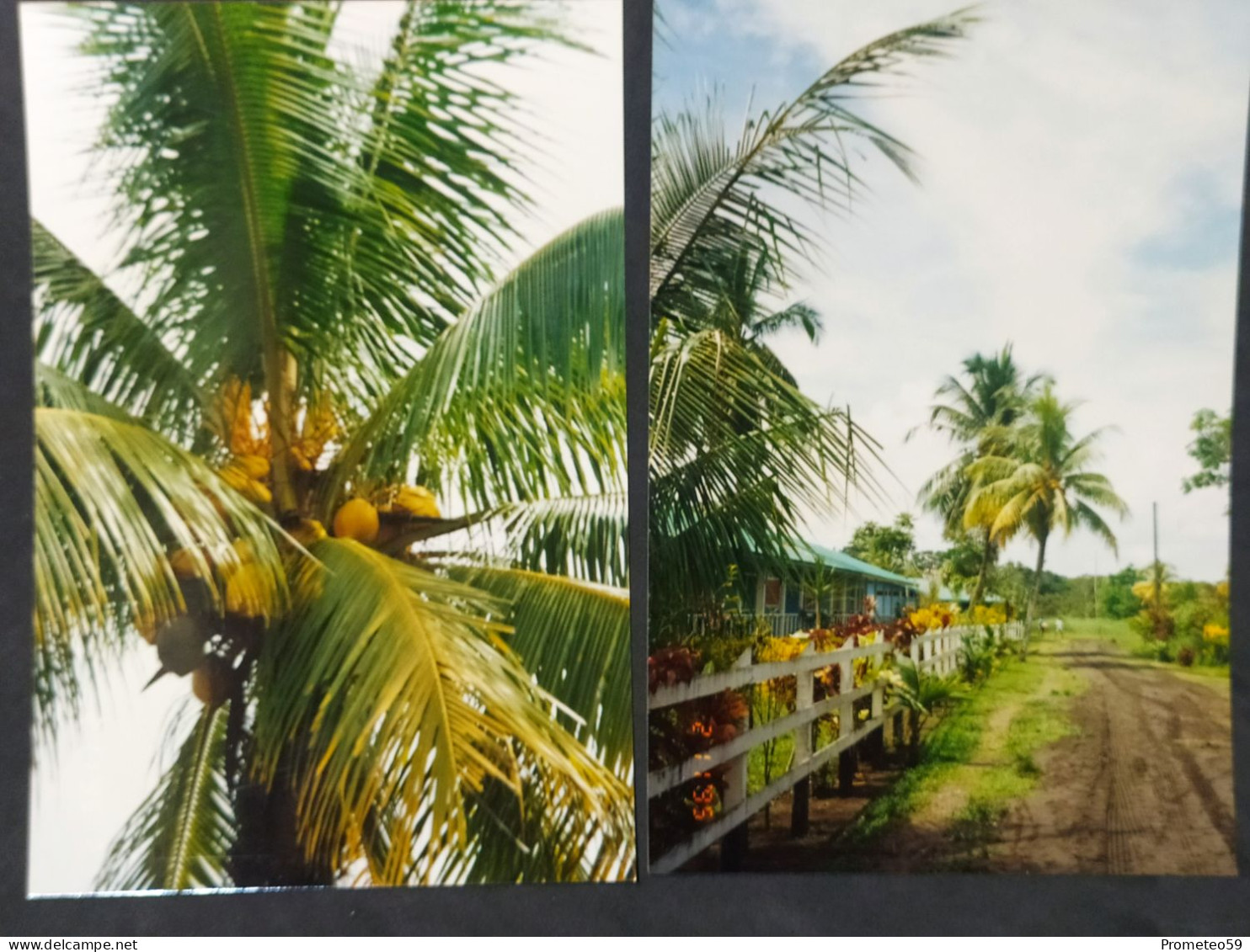 Lote 42 fotos originales de Puerto Limon – Costa Rica