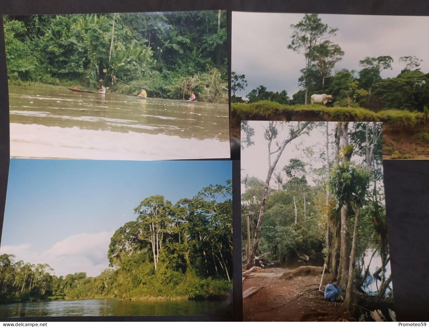 Lote 32 Fotos Originales Paseo Turismo Por Los Ríos Pacuyacu Y Aguarico (Ecuador) - Amérique