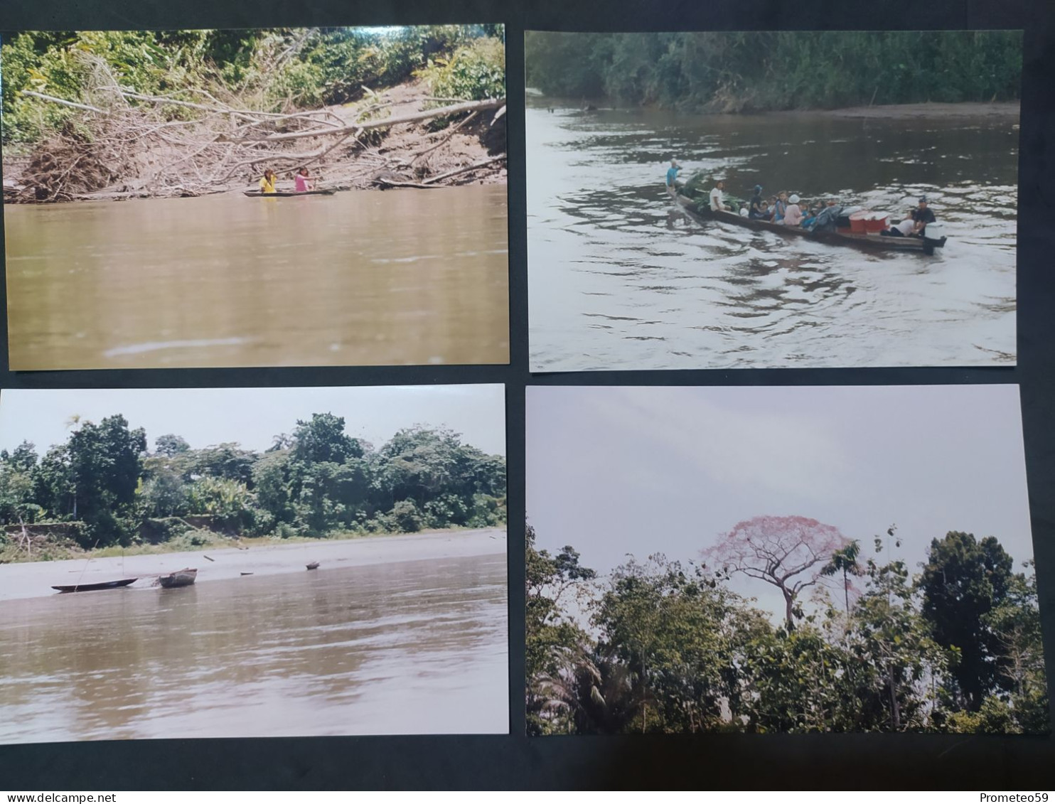 Lote 32 fotos originales paseo turismo por los ríos Pacuyacu y Aguarico (Ecuador)