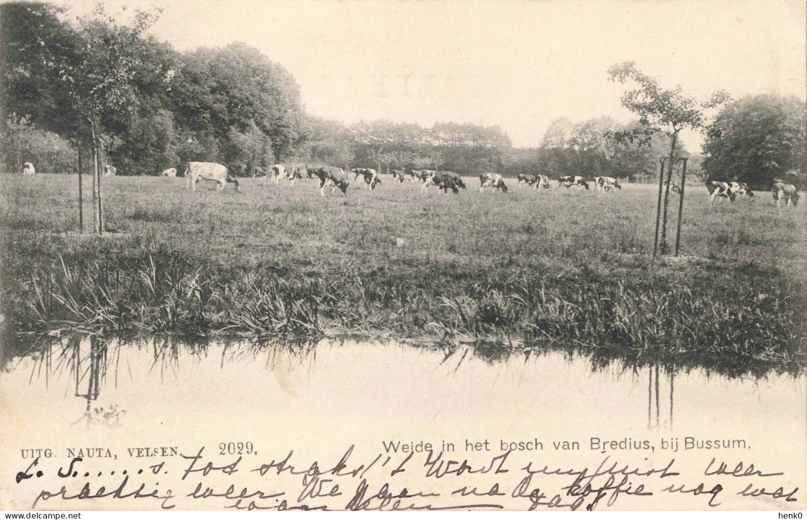 Bussum Weide In Het Bosch Van Bredius ZW114 - Bussum