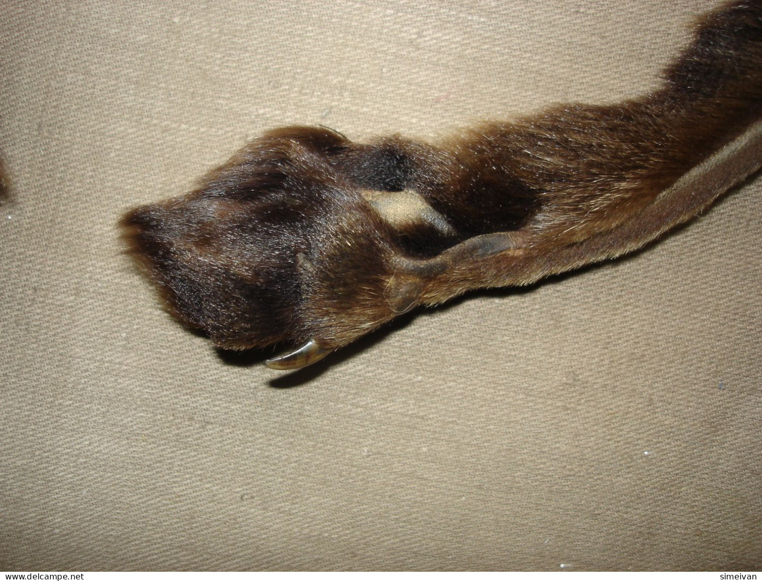 Vintage Real Fox Fur Brown Leather Collar 105cm(41'') #0287