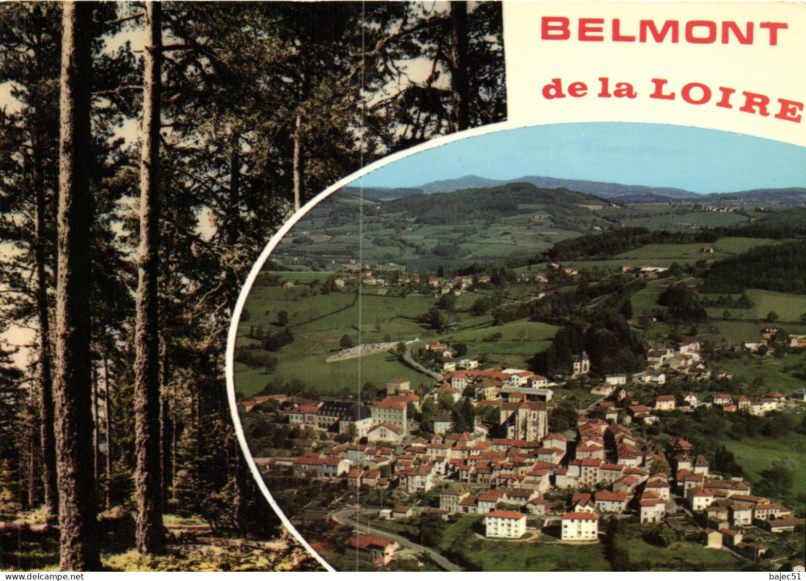 Belmont Sur La Loire "multi Vues" - Belmont De La Loire