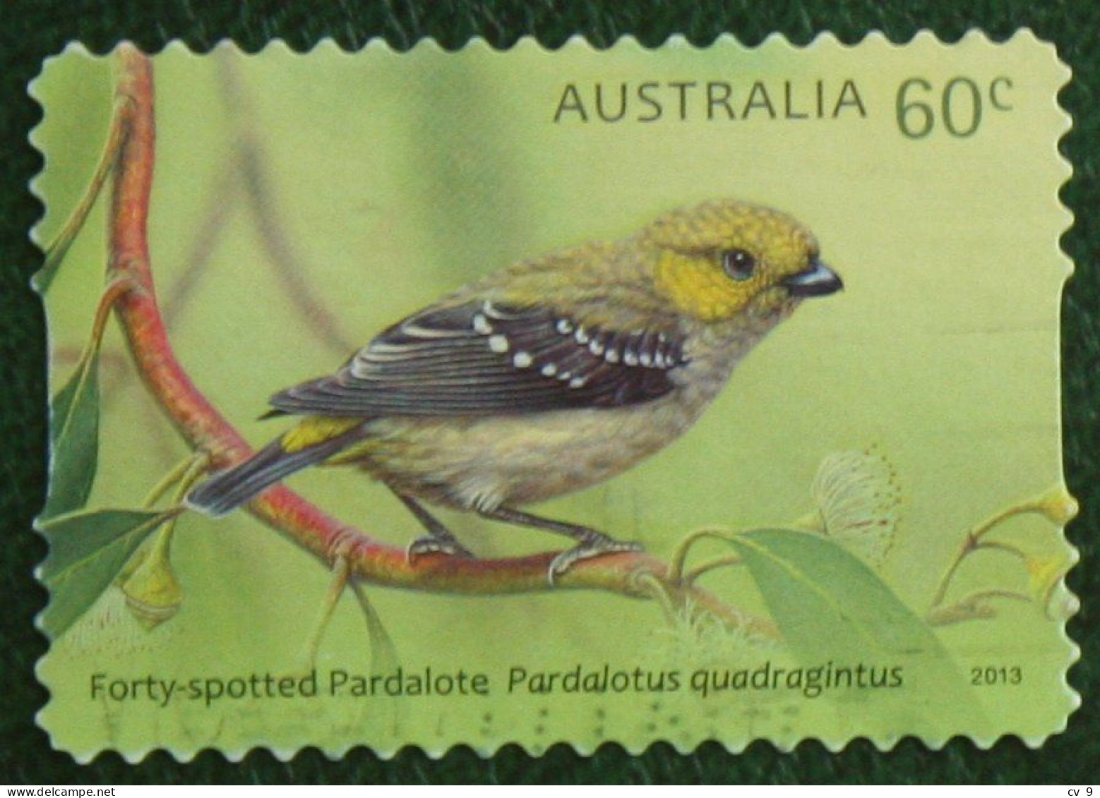 Birds Bird Vogel Oiseau Self-adhesive 2013 Mi 3957 Y&T - Used Gebruikt Oblitere Australia Australien Australie - Used Stamps