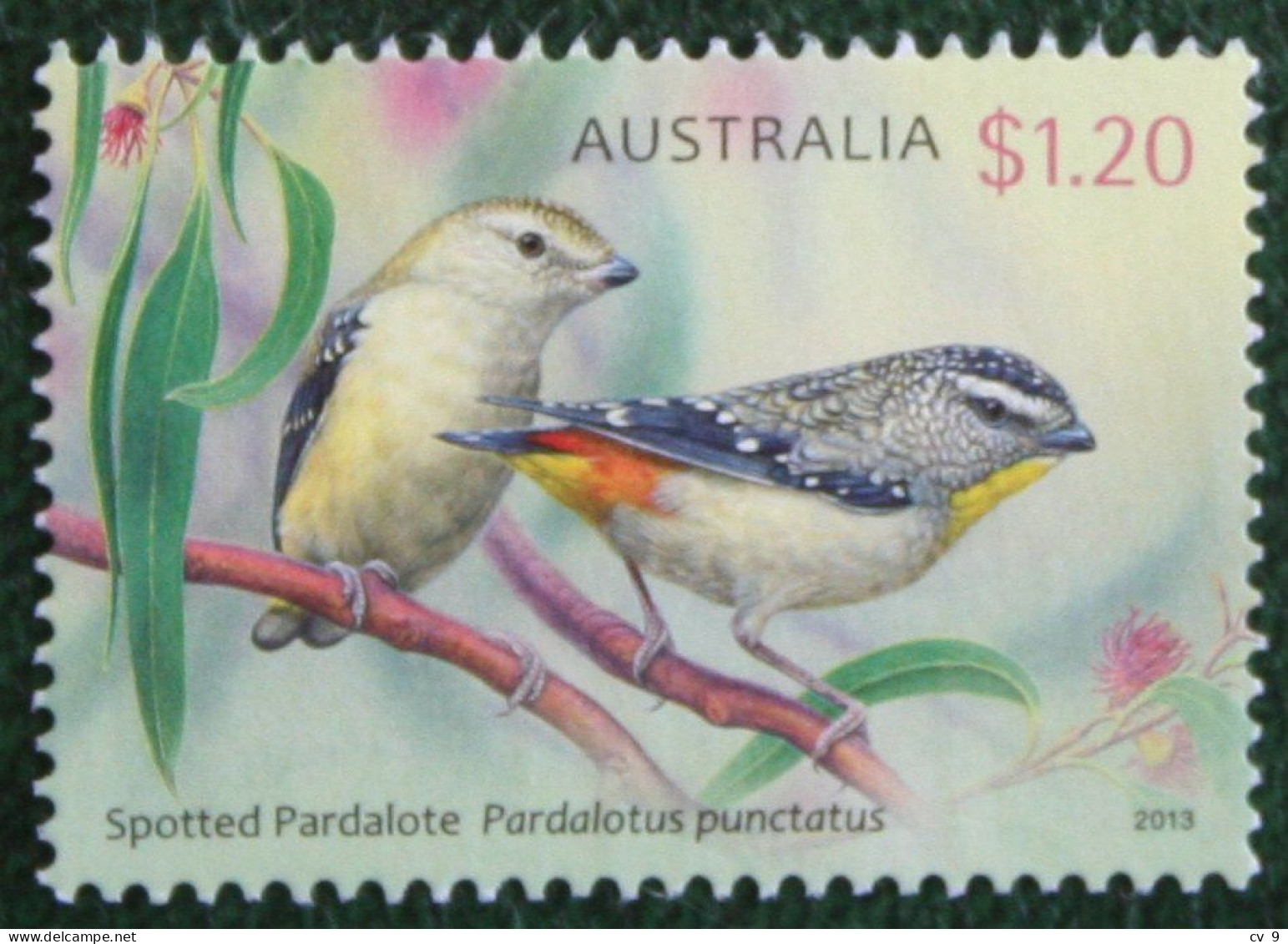 Birds Bird Vogel Oiseau Diamond Birds 2013 Mi 3954 Y&T - Used Gebruikt Oblitere Australia Australien Australie - Used Stamps