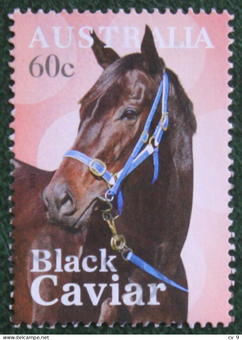 60c Black Caviar - Racehorse Horse Pferd 2013 Mi 3946 Y&T - Used Gebruikt Oblitere Australia Australien Australie - Used Stamps