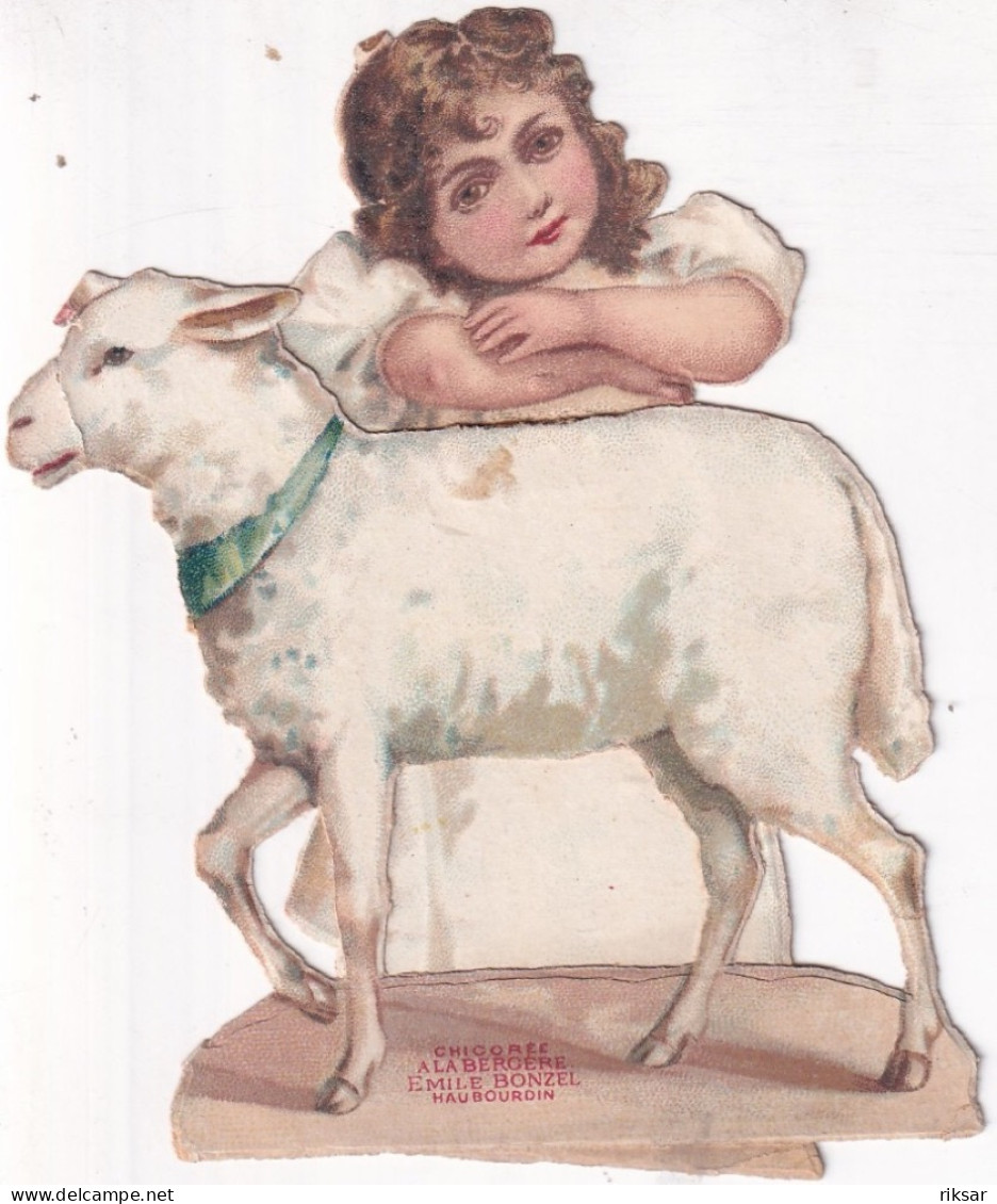 CHROMO(DECOUPIS) MOUTON - Dieren