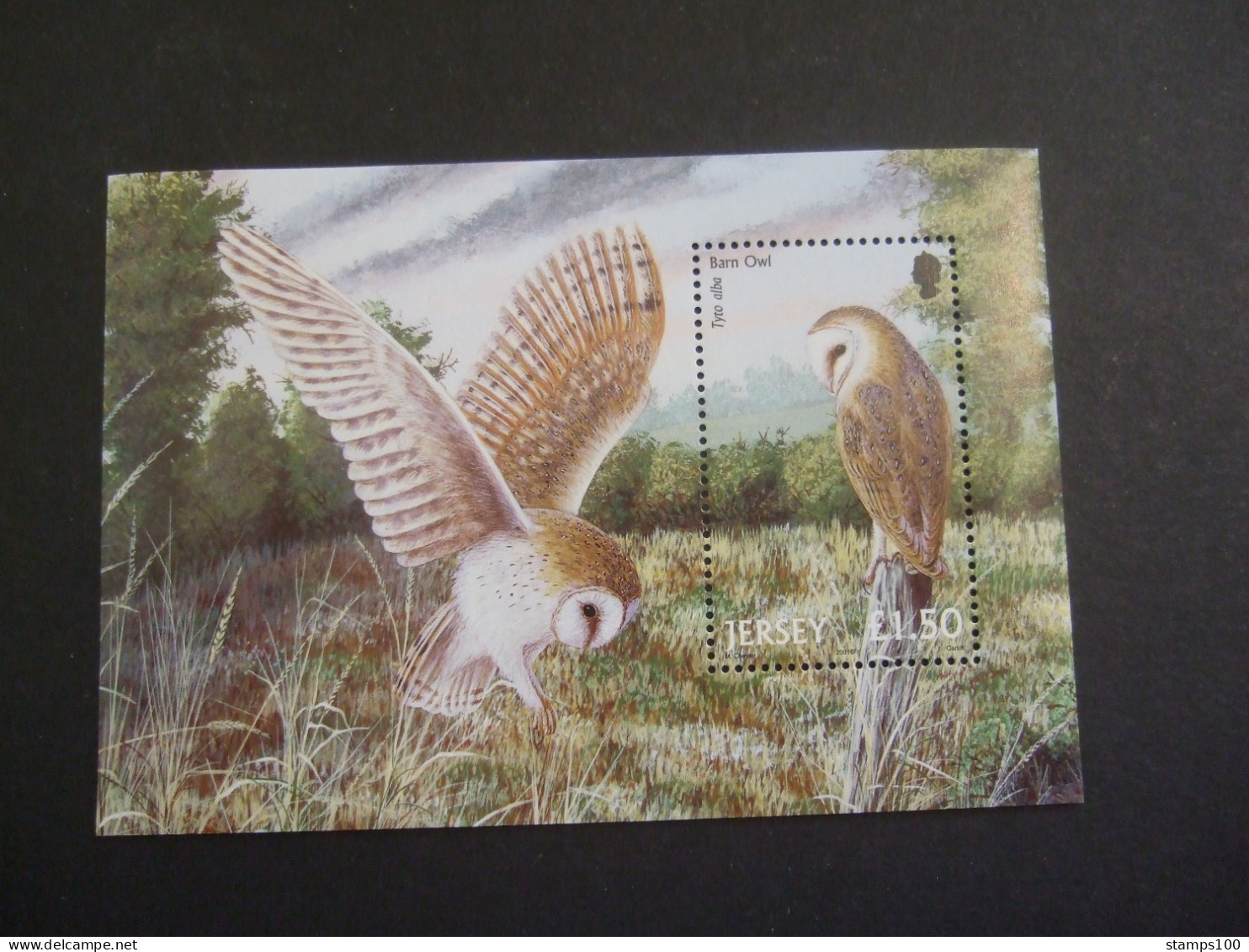 Jersey 2001 MiNr. 994(Block 30) Birds Barn Owl 1 S\sh MNH** 9P13-TVN) - 2001