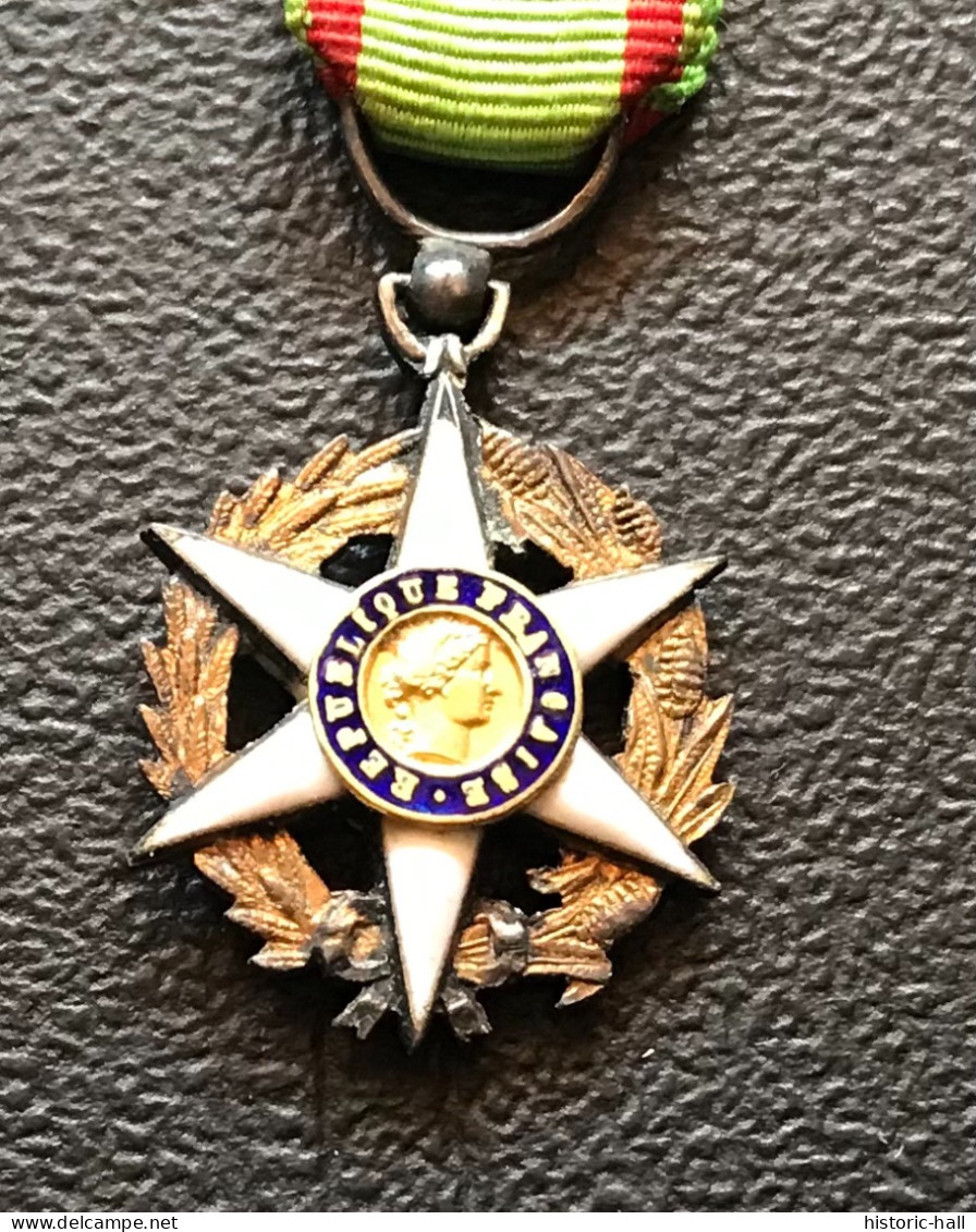 Medaille En Reduction - Chevalier MERITE AGRICOLE - 1883 - Frankrijk