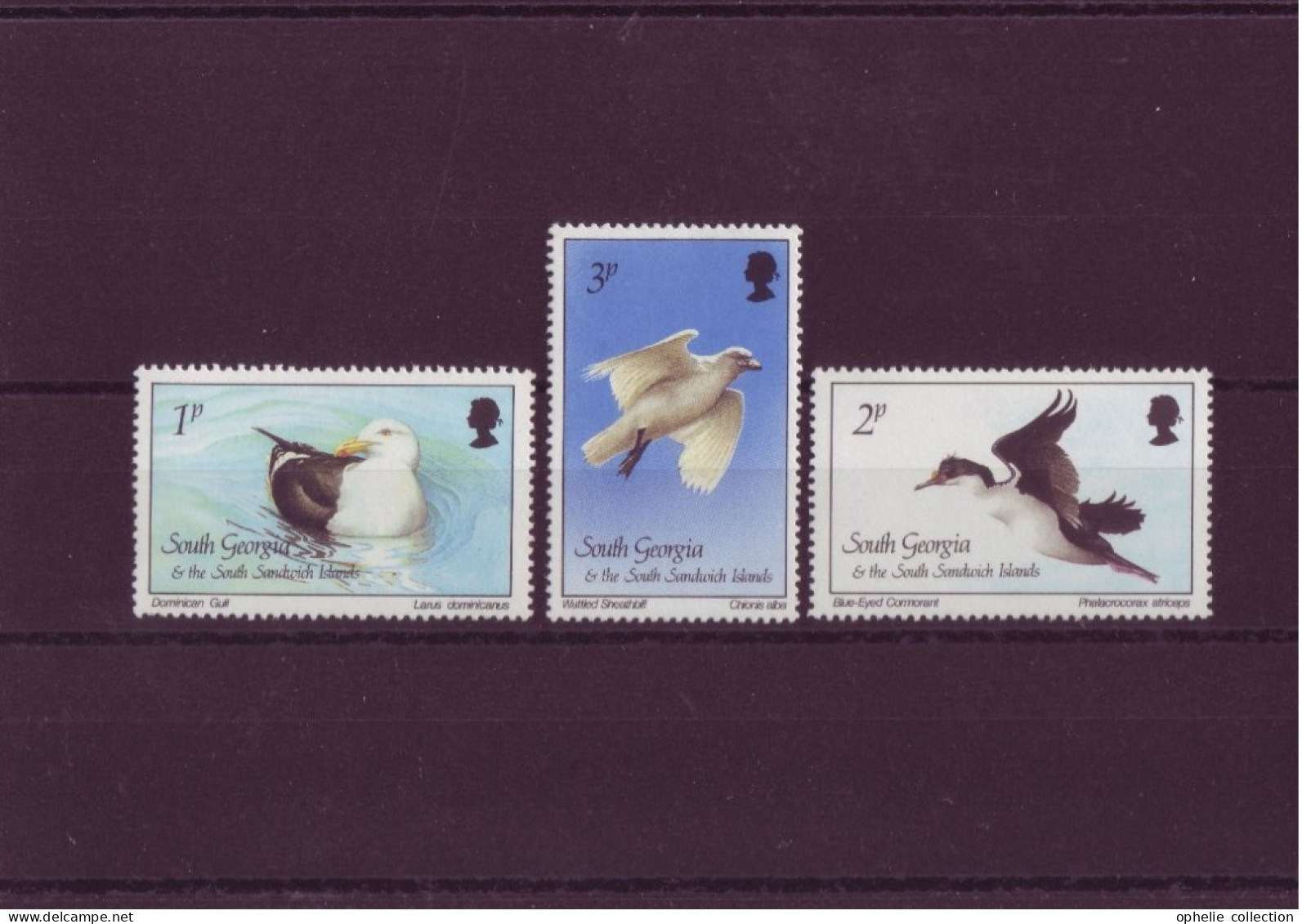 Europe - Angleterre Colonies - South Georgia Et South Sandwich Islands - Oiseaux Birds - 3 Timbres Différents - 4863 - Kampuchea