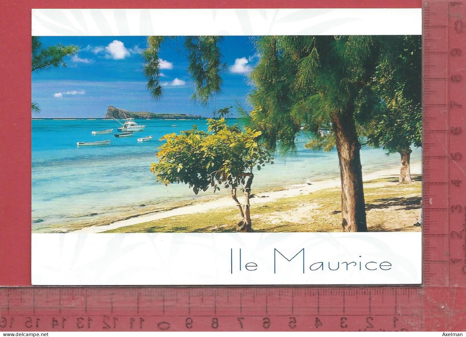 CPM  ILE MAURICE , COIN DE MIRE : Panorama - Maurice