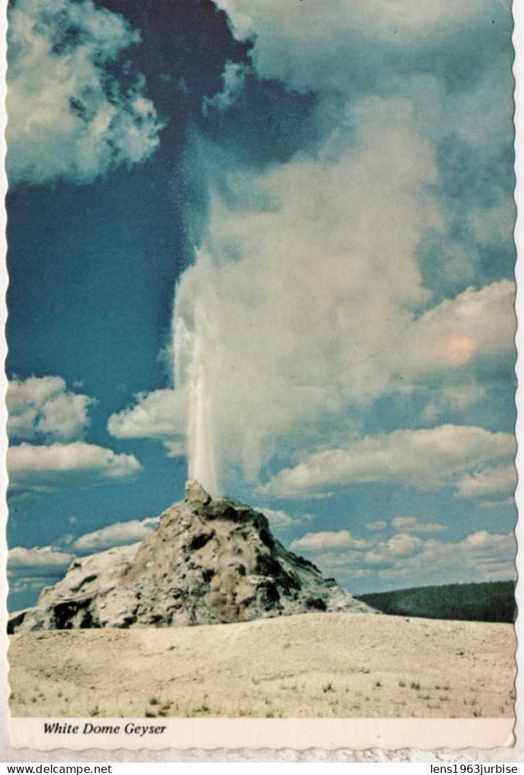 White Dome Geyser , Yellowstone - Yellowstone