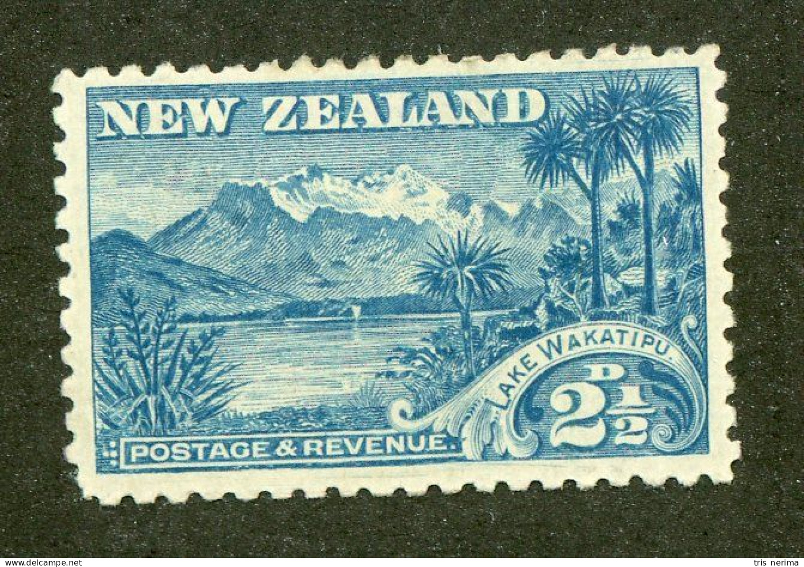 319 New Zealand 1899 Scott #88 M* (Lower Bids 20% Off) - Ongebruikt