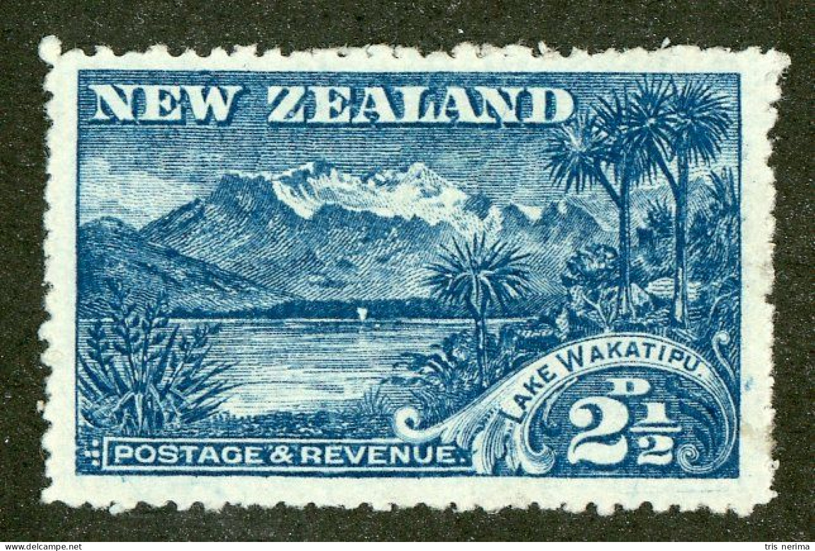 323 New Zealand 1902 Scott #111 M* (Lower Bids 20% Off) - Ongebruikt