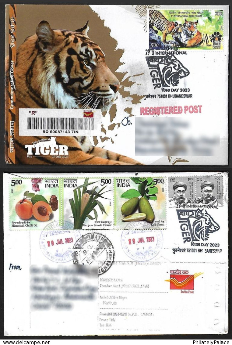 India 2023 International Tiger Day, Endangered, Animal, Panthera Tigris, Registered Cover (**) Inde Indien - Andere & Zonder Classificatie